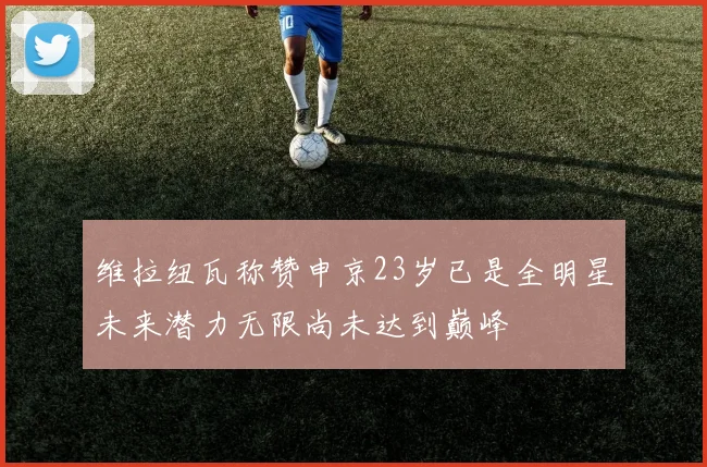 维拉纽瓦称赞申京23岁已是全明星未来潜力无限尚未达到巅峰