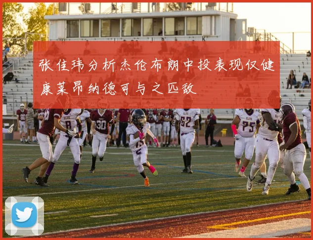 张佳玮分析杰伦布朗中投表现仅健康莱昂纳德可与之匹敌
