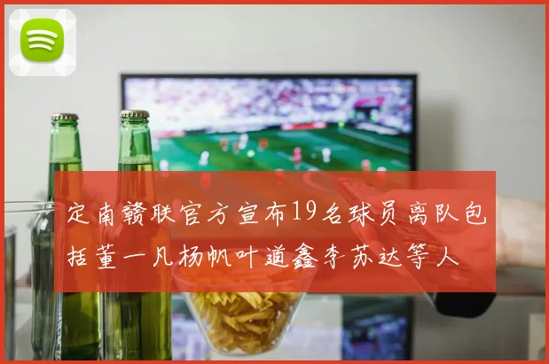 定南赣联官方宣布19名球员离队包括董一凡杨帆叶道鑫李苏达等人