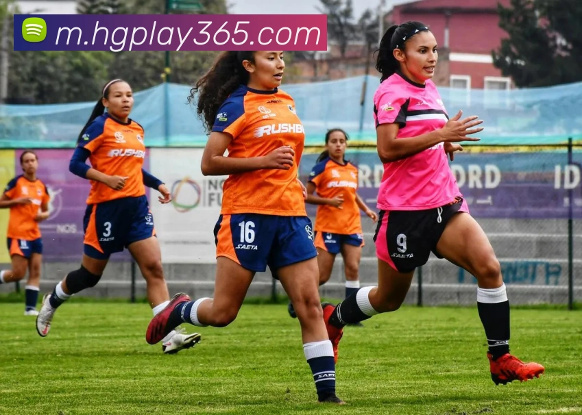 皇冠体育平台生态图