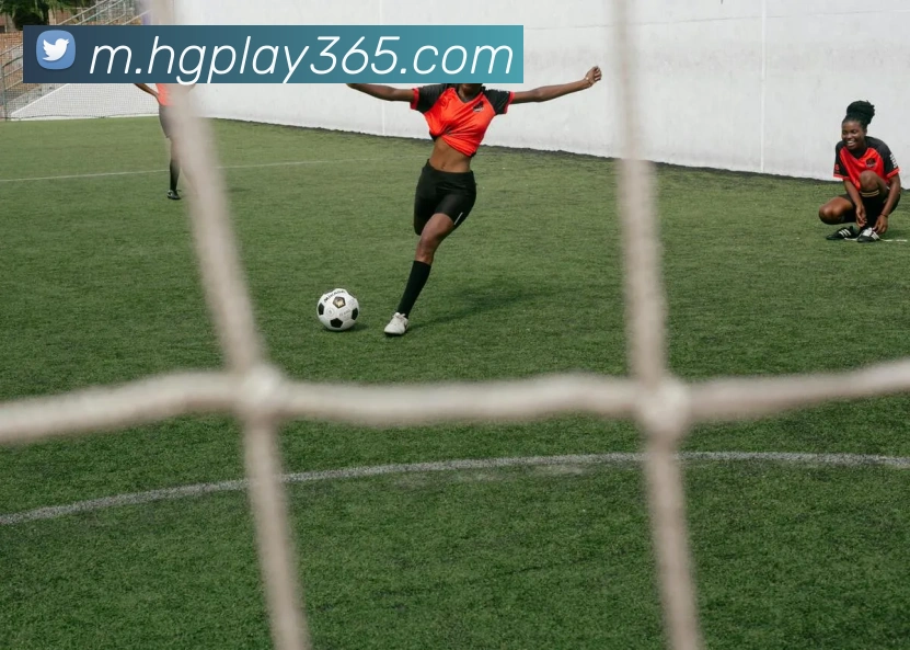 皇冠体育APP 封面图